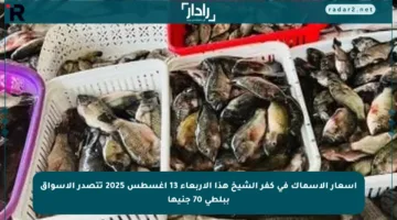أسعار الأسماك في كفر الشيخ هذا الأربعاء 13 أغسطس 2025 تتصدر الأسواق ببلطي 70 جنيها